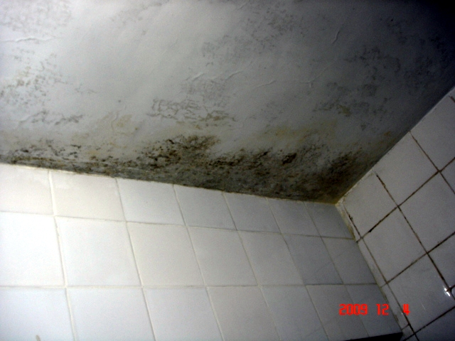 Bathroom ceiling